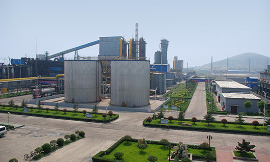 ����������ƺ����